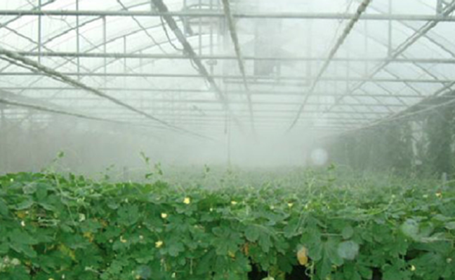 serre-e1429865188444 copie