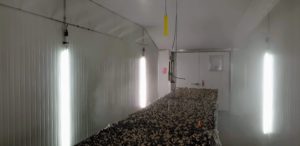 Brialmont champignon